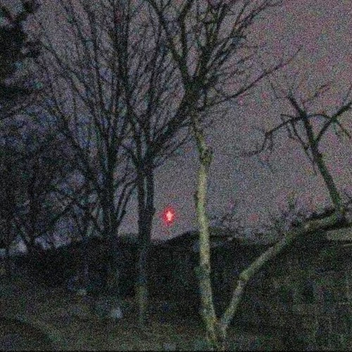 nightwalker