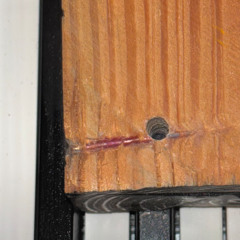 sawdust in my room