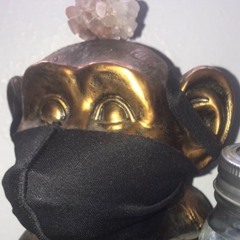 The Virus (Scarf Around My Face)