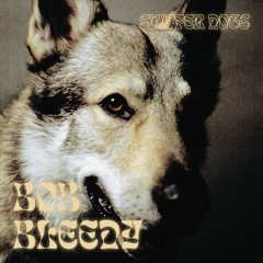 BOB BLEEDY - SNIFFER DOGS