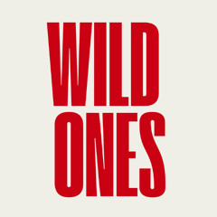 WILD ONES ( FREE DOWNLOAD )
