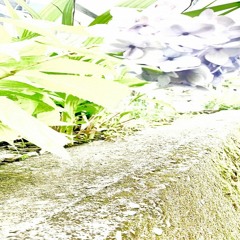 Lore W: Qu0th 300723
