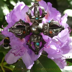 Eine Runde Harmonie - CD "Giving Birth" feat. Cornelia Dola Tulke