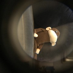 Everybody's Changing