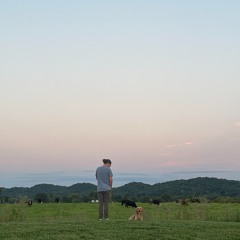 Skies