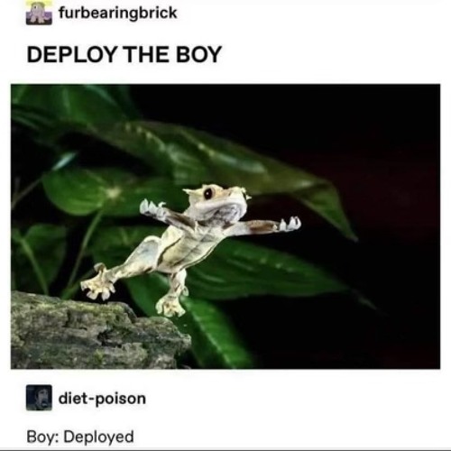 A random playlist 2