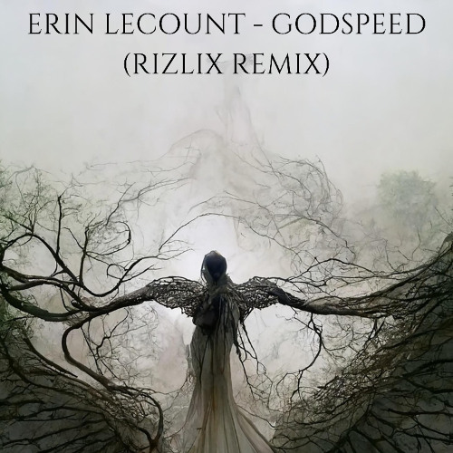 Erin LeCount - Godspeed (RiZLiX Remix)