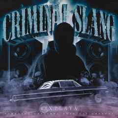 CRIMINAL SLANG