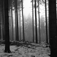 Black & White Memory