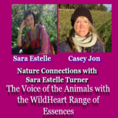 The Voice of the Animals with Casey Jon and Sara Estelle Turner