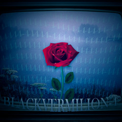 BlackVermilion-4