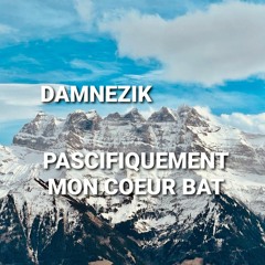 DAMNEZIK - PASCIFIQUEMENT MON COEUR BAT