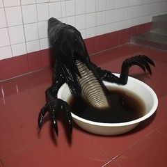 Edward Skeletrix - Asexual