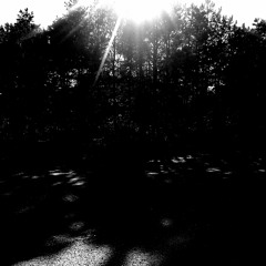 DU8WOOD8__SXULTAPE VISION - Cabeitha