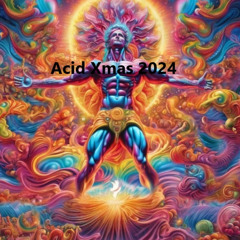Acid Christmas 2024