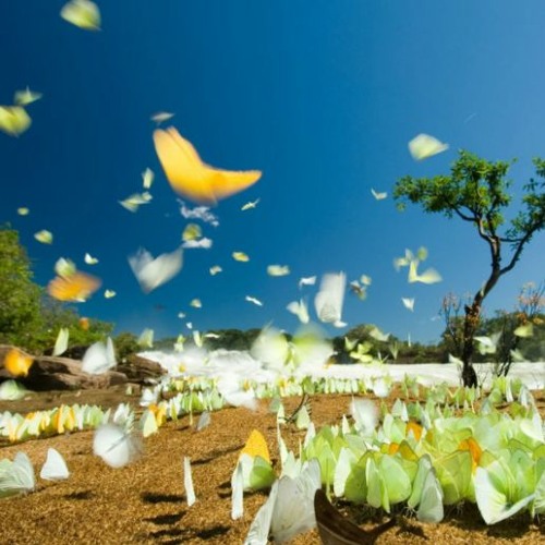 70smusic music for video background free DOWNLOAD