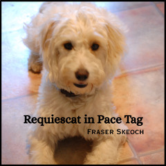 Requiescat in Pace Tag