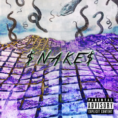 $NAKE$