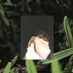 10. HANDS FOR COMFORT (with Charlie)