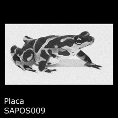 SAPOS009 - Placa