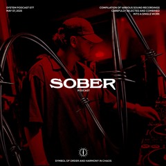 SOBER X SYSTEM PODCAST 77