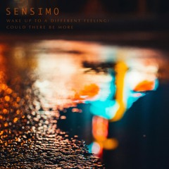 Sensimo - Could There Be More?