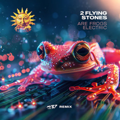 2 Flying Stones - Are Frogs Electric (MI37 Remix) [Extended]