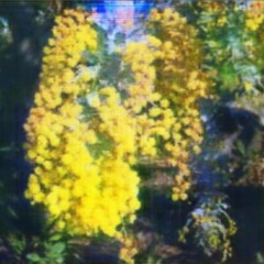 Fading Blues - Hird (Acacia Remix)