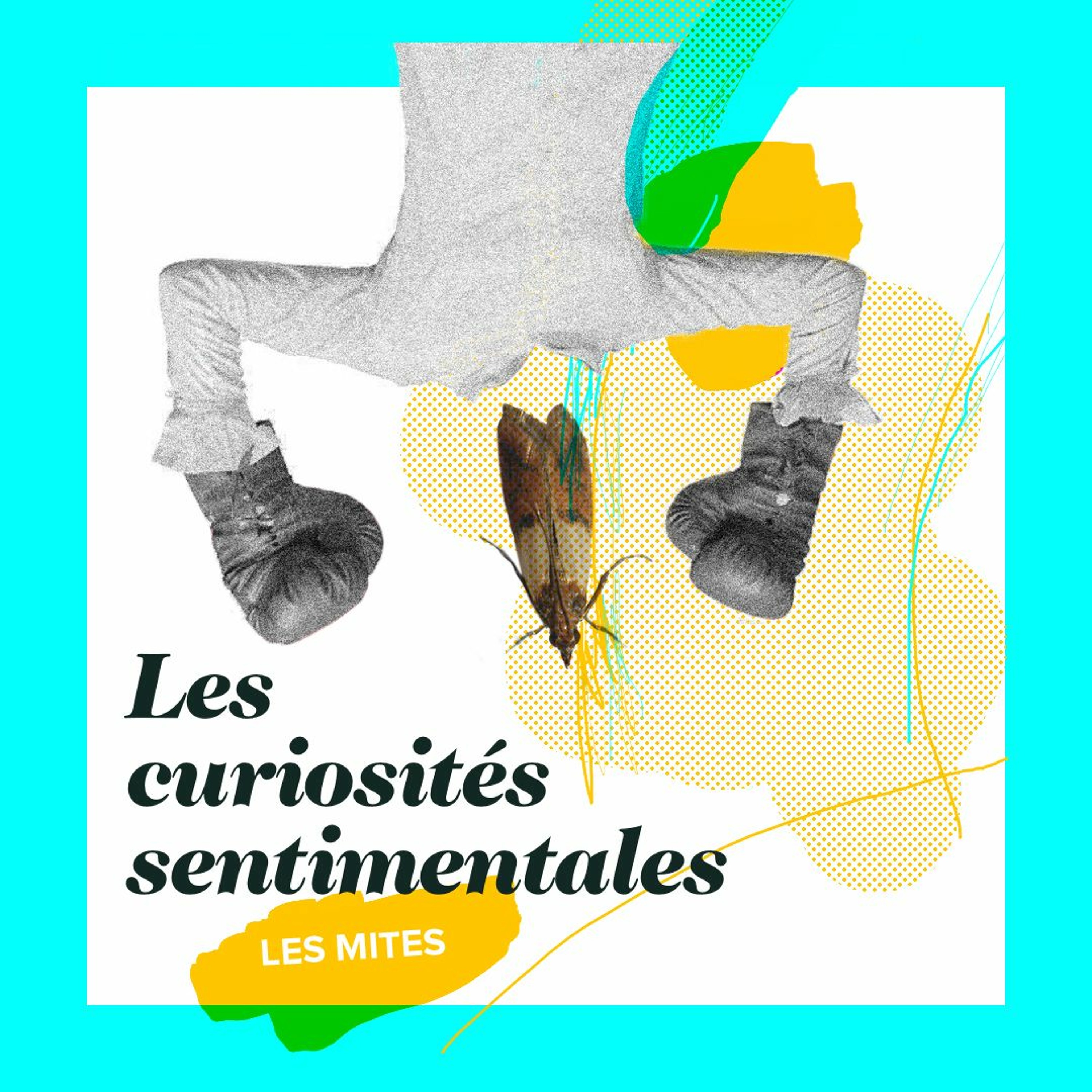 Les Curiosites Sentimentales
