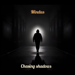 chasing shadows (remix feat bernz)