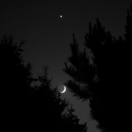 Copy of Related tracks: ‎⁨﴿فَآمَنَ لَهُ لوطٌ | القارء عبدالرحمن مُسعد♥️