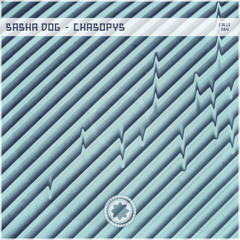 Sasha Dog - Chasopys (Borka FM Remix) snippet