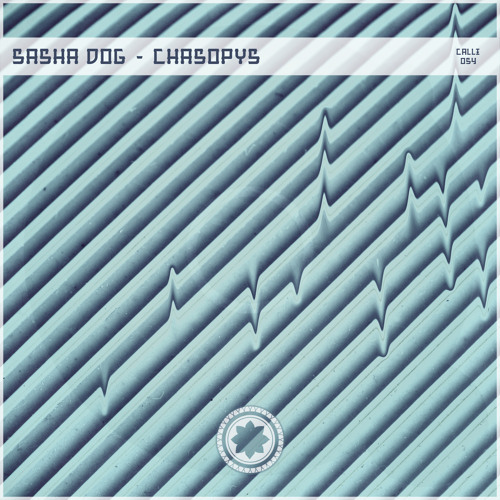 Sasha Dog - Chasopys (Borka FM Remix) snippet