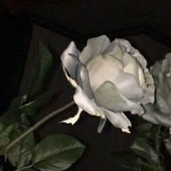 cold ass heart!* <Feat. SO4N>