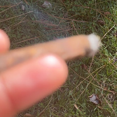 Nice To Meet You-theregomarcus