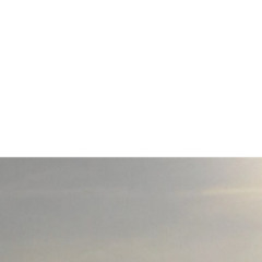 bloom ‎ ‎ ‎ ‎ ‎ ‎     eruh