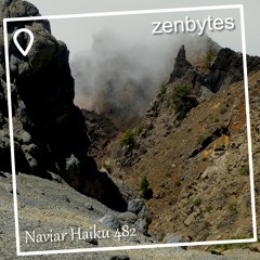 dark and light - Naviarhaiku 482