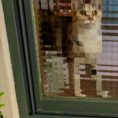 somewhere only we know