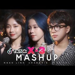 Mashup X3  Hơn 10 Bài Nhạc HOT Trên Tik Tok Đám Cưới Nha Changmie X Tiến Tới X Ngao Linh