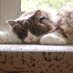 Peaceful Time