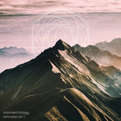Momentology - Colors (Hypntc Remix)