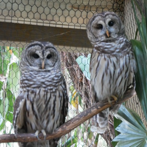 Road Work'd On Too Hard