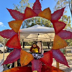 voyge_of_the_sun nsw