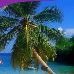 [READ DOWNLOAD] Martinica: Scoprite questa meravigliosa isola da sogno dei Carai