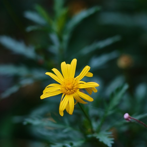 2025-11-02-TheDoctrineOfGodRevealedThroughChristPt11u