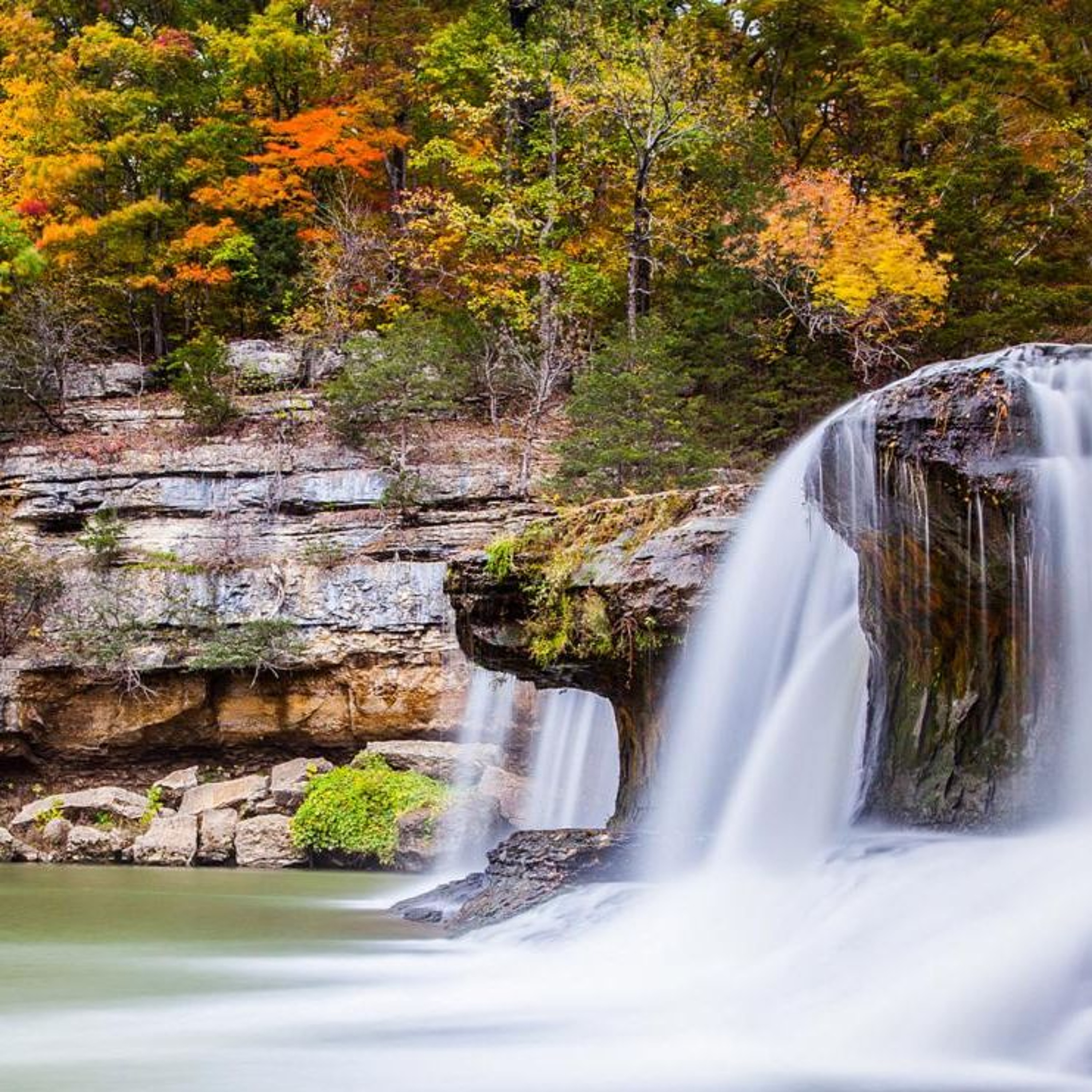 Get Out Indiana (Jake Oakman - White River State Park)