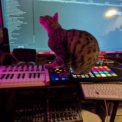 warming up live mix b2b with Rocco the Cat