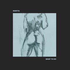 WHAT TO DO (FREE DL at 500 followers)