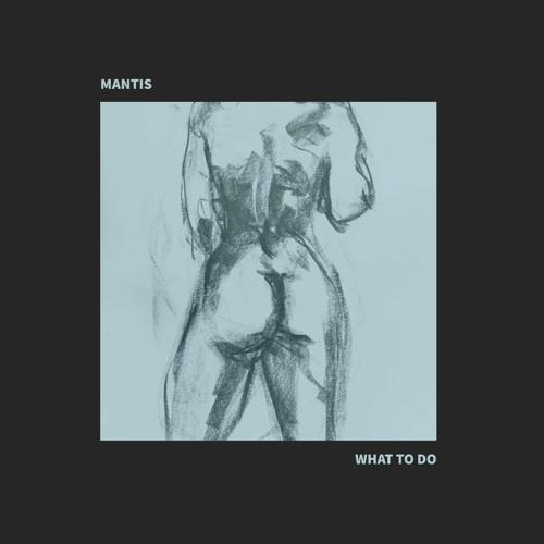 WHAT TO DO (FREE DL at 500 followers)