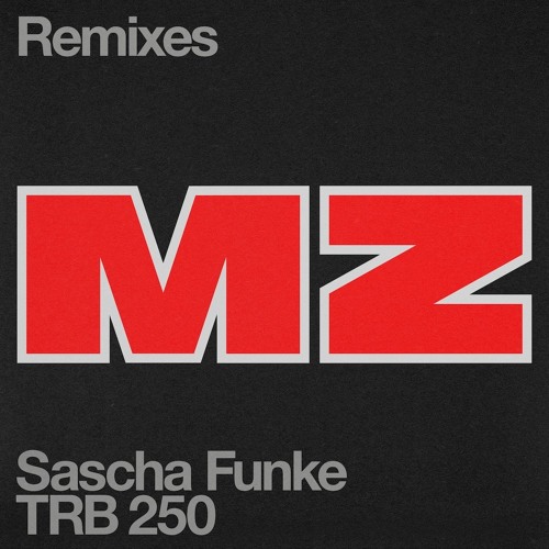 MZ - Sacha Funke (tommybeeeee remix) cover